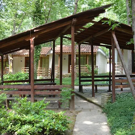 Holiday park Holidays Primorsko