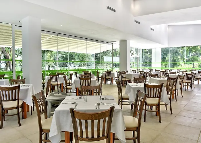 Holidays 假日公园