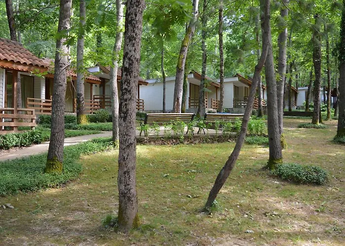 Holidays Holiday park Primorsko